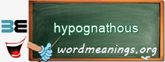 WordMeaning blackboard for hypognathous